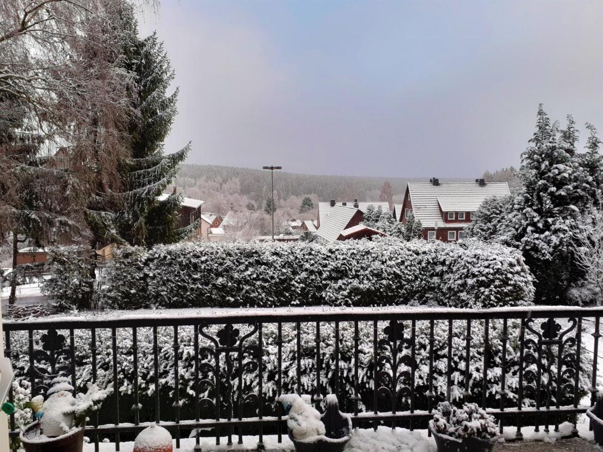 Villa Tannerhof Braunlage Buitenkant foto
