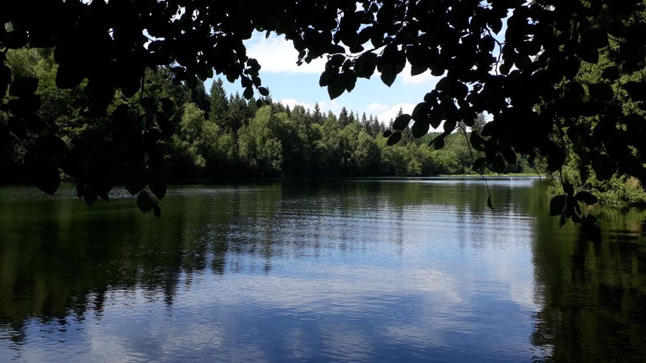 Villa Tannerhof Braunlage Buitenkant foto