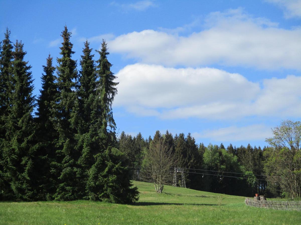 Villa Tannerhof Braunlage Buitenkant foto