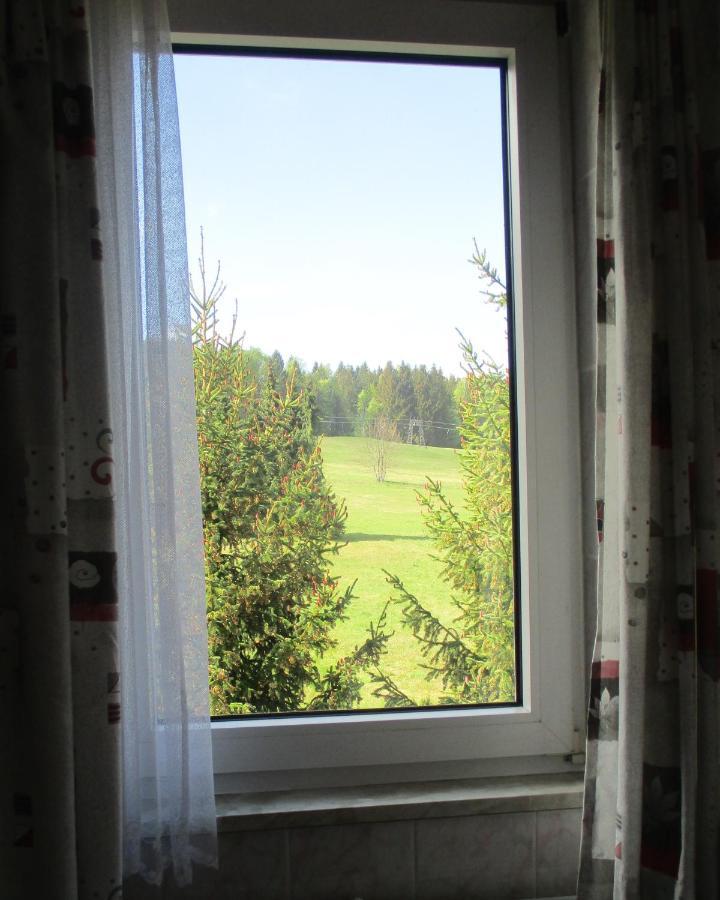 Villa Tannerhof Braunlage Buitenkant foto