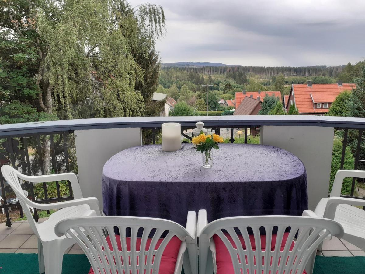 Villa Tannerhof Braunlage Buitenkant foto