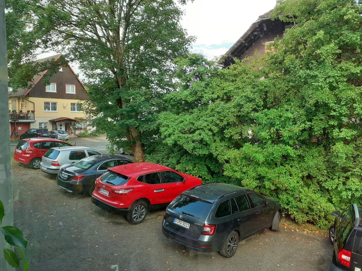 Villa Tannerhof Braunlage Buitenkant foto